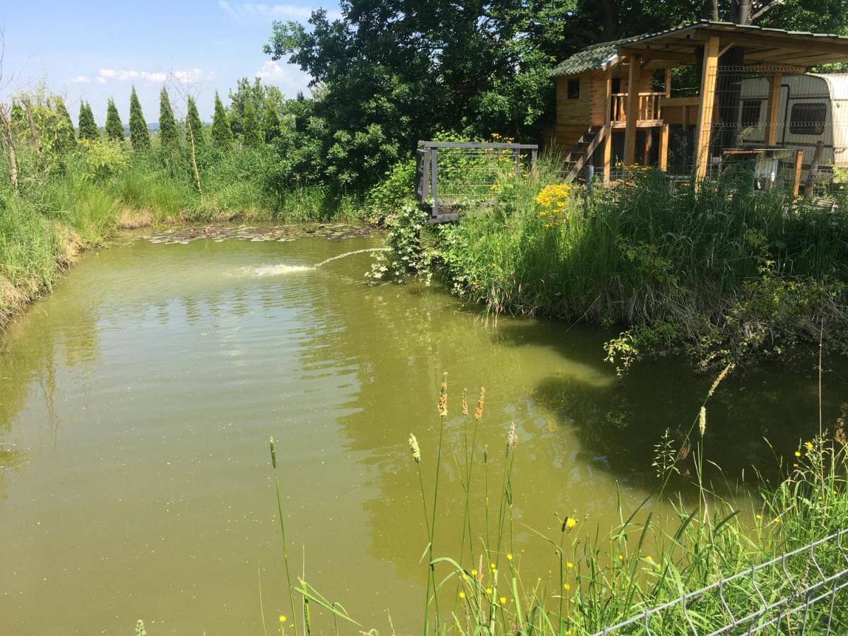 Wyspadrzewodomek Kamionna  Bagian luar foto